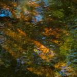 http://billingsandsacca.com/wp-content/uploads/2014/03/GRLT_091713_M8_Eagles-Way_30190_orange-river-bottom-green.jpg